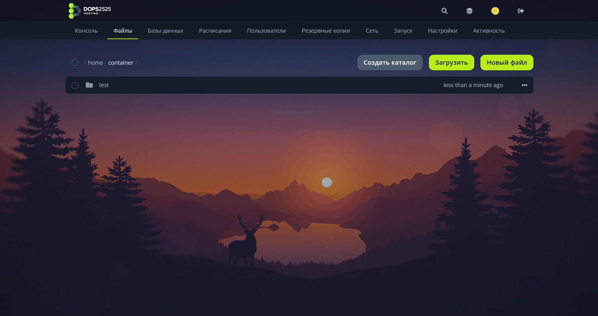 Панель управления DOPS2525 Hosting